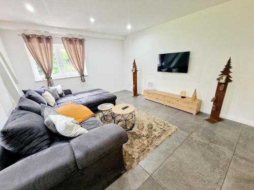 TV a/nebo společenská místnost v ubytování Ferienwohnung Waldzauber