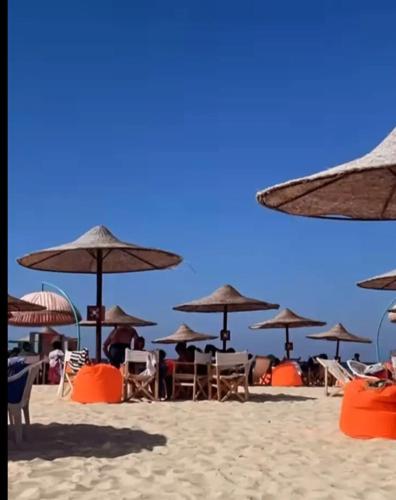 قريه الجوهره الساحل الشمالي