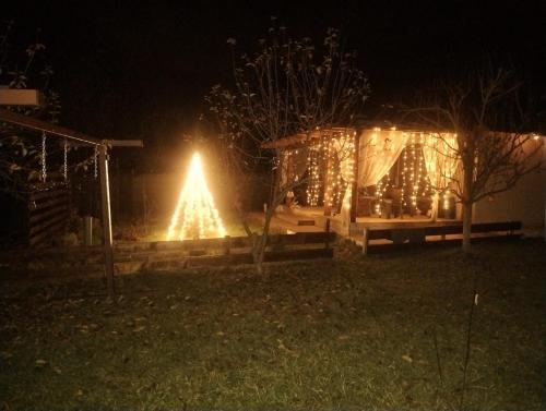 ein beleuchteter Weihnachtsbaum in einem Garten bei Nacht in der Unterkunft Casuta din Livada 2 