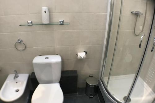 a bathroom with a toilet and a shower and a sink at Charming 1 Bed Peak Dist Cottage Barn Alton Towers in Whiston