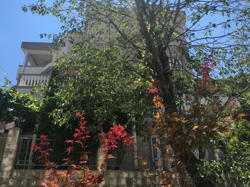 un árbol con flores rojas delante de un edificio en Apartments Popović, en Budva