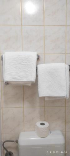 two towels are hanging above a toilet in a bathroom at Apartment for Holidays in Pula in Pula
