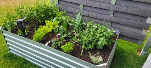a garden with vegetables and plants in a bench at BayVista, die Bayerwald Lodge in Lam