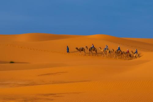 a group of people riding camels in the desert at Bivouac Luna in Mhamid