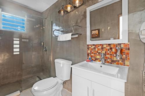 a bathroom with a toilet and a sink and a shower at Swimming Pool Pet Welcoming Close To The Shore in San Juan