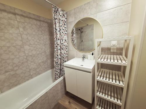a bathroom with a sink and a mirror at Charmant T2- Besançon hyper centre in Besançon