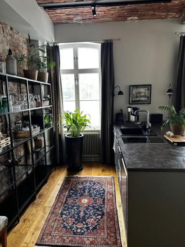 Luxury Apartment in the center