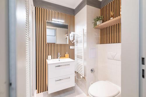 a bathroom with a toilet and a sink and a mirror at Klínovec ski apartments in Loučná pod Klínovcem
