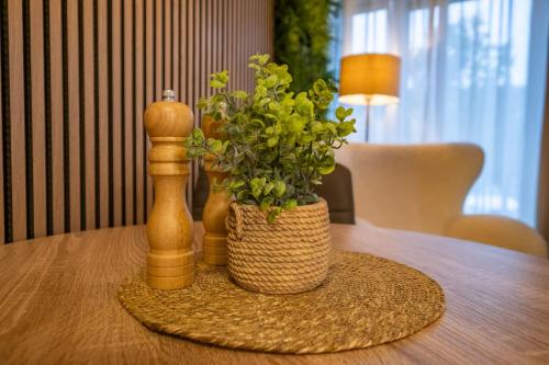 a wooden table with a plant in a basket on it at Klínovec ski apartments in Loučná pod Klínovcem