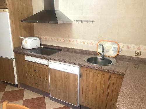 a kitchen counter with a sink and a toaster at Piso Plaza Acuario in Huelva
