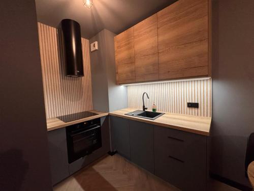 a small kitchen with wooden cabinets and a sink at Apartament Bergera Olive Hill-2 pokoje in Poznań