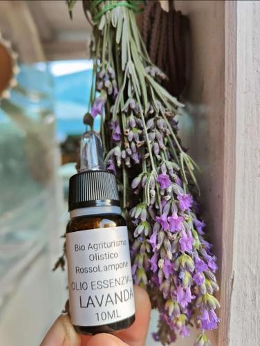 a person holding a bottle of essential oil next to flowers at Agriturismo RossoLampone in Gerano