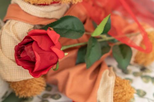 a red rose on a table with teddy bears at Le Giare House in Grezzana