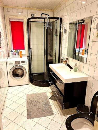 a bathroom with a shower sink and a washing machine at Villa Heyerdahl Main House in Åmli