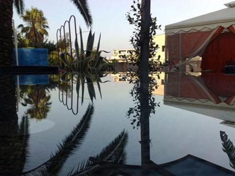 モンテパオーネにあるCubicula B&Bの椰子の水面反射