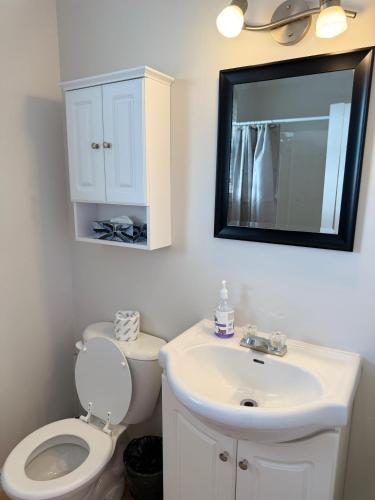 a bathroom with a toilet and a sink and a mirror at Airport Manor Unit 4, 2 Bedroom Apartment in Torbay