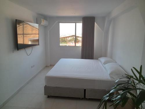 a white bedroom with a bed and a potted plant at Terraza De San Antonio in Cali