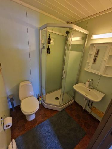 a bathroom with a shower and a toilet and a sink at Nice apartment at Golsfjellet in Gol