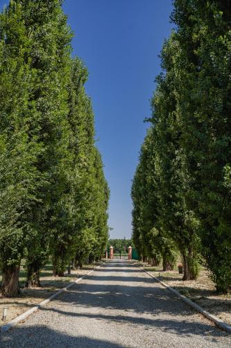 a row of trees on a gravel road at Villa Iris in Modena