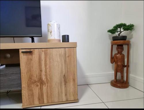 a wooden cabinet with a potted plant next to a television at ProAvia Apartments and Hotel in Windhoek