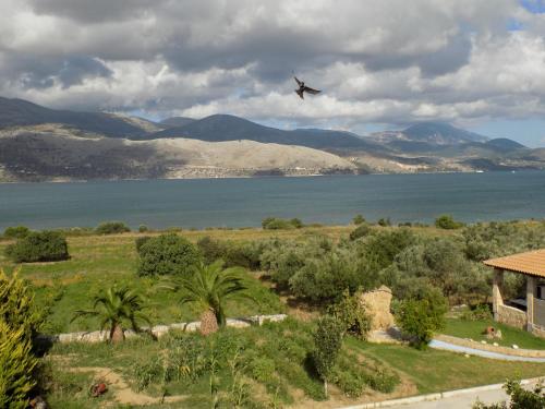 a plane flying in the sky over a body of water at Kolona Apartments in Lixouri