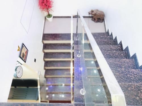 a staircase with a glass floor and a dog on it at Pepper Jazz Varkala in Varkala