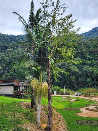 Landskap semula jadi dekat dengan rumah percutian