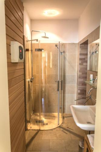 a bathroom with a shower and a sink at Ferienwohnung Villa 16F in Pirna