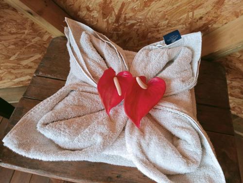 a towel with two hearts on top of it at GLAMPING ASTRODOME EN PACHO in Pacho