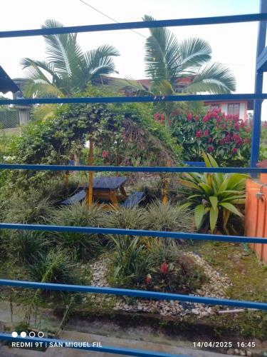 a garden in a building with palm trees at Finca San Miguel Filandia in Filandia