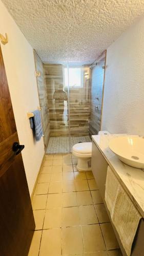 a bathroom with a shower and a toilet and a sink at Departamento Guadalajara Expo Downtown Chapultepec in Guadalajara