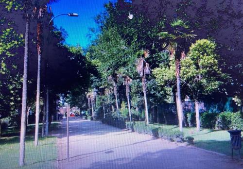 Zahrada ubytování Noria 1B Izquierda