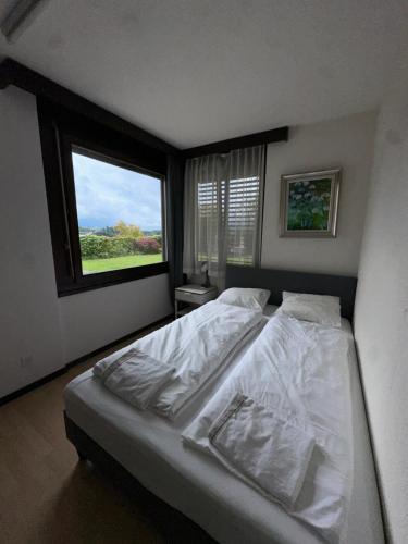 Beautiful apartment near Luzern, view to Rigi,Pilatus Mountain