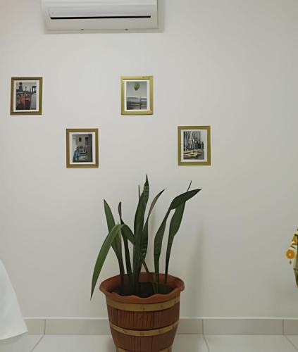 Fotografie z fotogalerie ubytování Temporada Cuiabana v destinaci Cuiabá