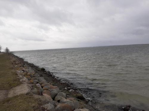 a group of rocks on the shore of a body of water at Ferienwohnung direkt am Hafen in Fehmarn-Orth in Orth