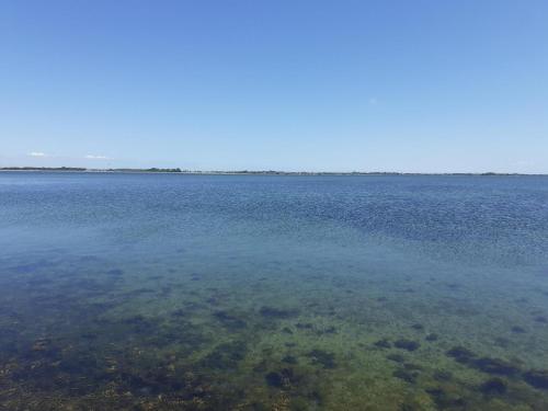 a view of a large body of water at Ferienwohnung direkt am Hafen in Fehmarn-Orth in Orth