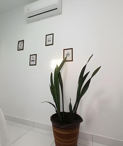 Fotografie z fotogalerie ubytování Temporada Cuiabana v destinaci Cuiabá