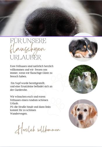 a flyer with two pictures of a dog at Tiny-Hohenberg in Hohenberg an der Eger