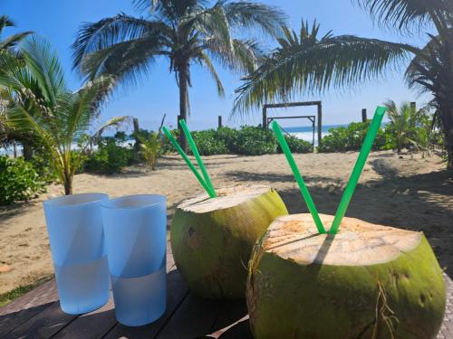 three coconut halves with green straws on a table on the beach at Zihua 6bed 3bath Home for 12 with Direct Access to Beach in Zihuatanejo