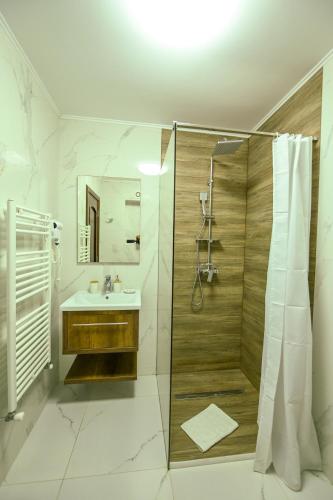 a bathroom with a shower and a sink at Vila Mimoza in Sinaia