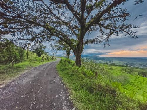 a dirt road with a tree on the side at Villas Malu View Domos modernos con vista al Volcán Arenal in El Castillo de La Fortuna