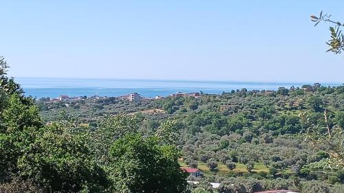 a view of a hill with trees and the ocean at Casa vacanze San Gianni in Bovalino Superiore