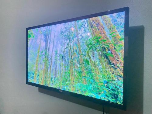 TV/trung tâm giải trí tại Rous place# 2