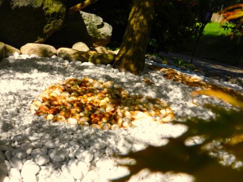 a pile of nuts on the ground in the snow at LUKAS HOME CON IL CUORE Appartamento 3 camere al piano terra e appartamento 1 camera in taverna in Merone