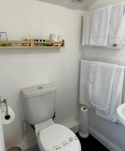a bathroom with a toilet and a sink and towels at The Kings Head Inn in Gloucester