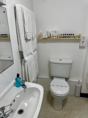 a bathroom with a white toilet and a sink at The Kings Head Inn in Gloucester