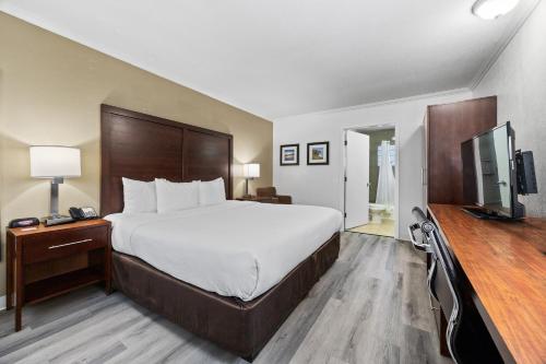 a hotel room with a large bed and a flat screen tv at Comfort Inn Santa Cruz North in Santa Cruz