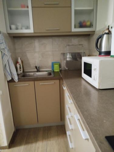 a kitchen with a sink and a microwave at Apartman Zavičaj in Vrnjačka Banja
