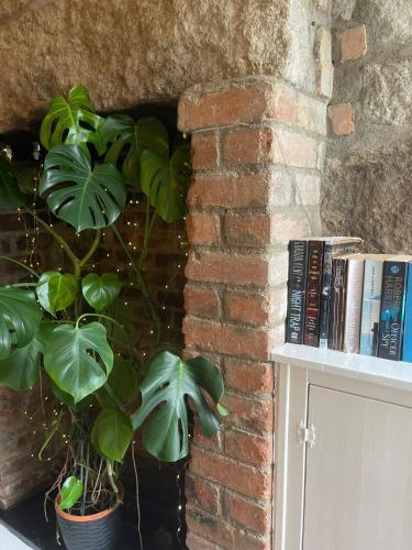 a brick wall with two potted plants on a shelf at Penare Terrace in Penzance in Penzance