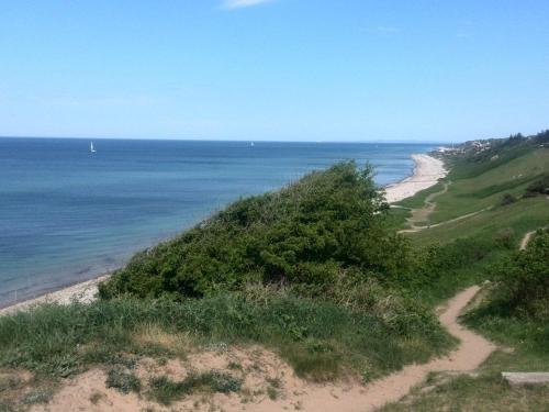 a view of a beach with the ocean in the background at 8 person holiday home in Tisvildeleje in Tisvildeleje